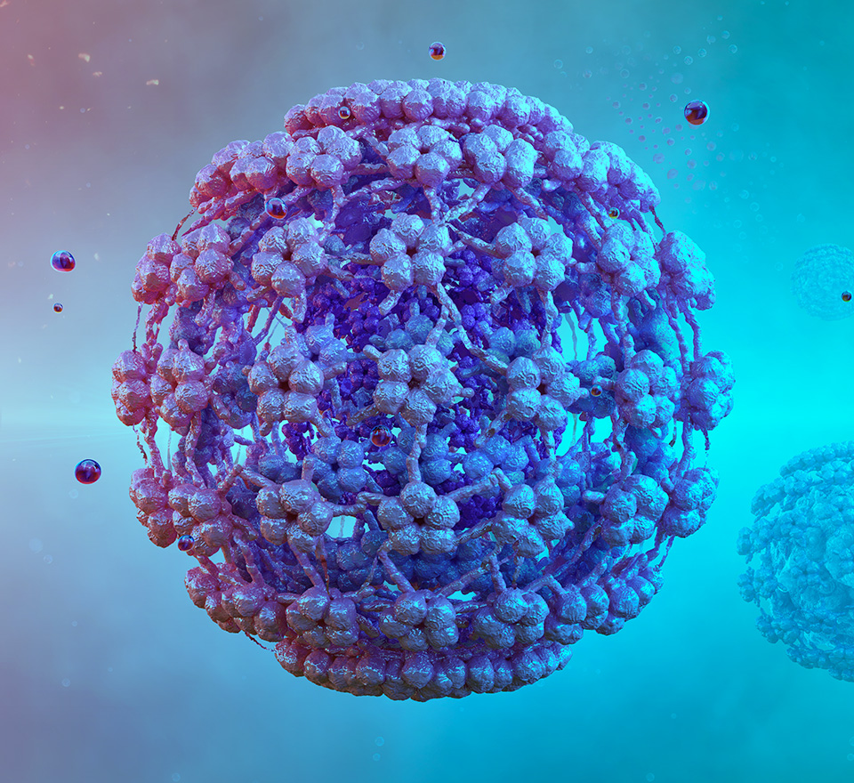 About  hpv